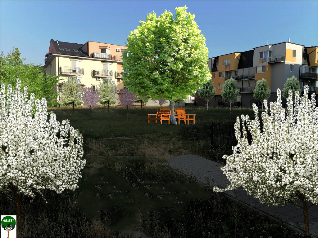 project_image